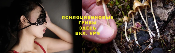 spice Валдай