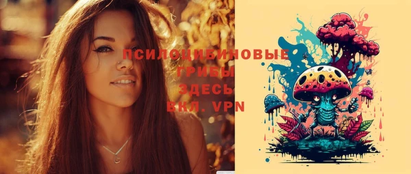 амф Алексеевка