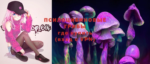 мяу мяу мука Абаза