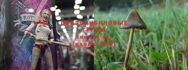 прущая мука Алзамай