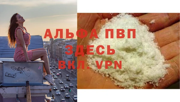 мяу мяу мука Абаза