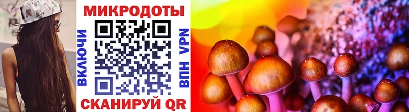 Псилоцибиновые грибы GOLDEN TEACHER Заринск