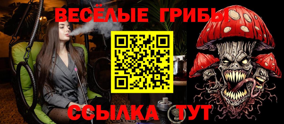 Заринск  Псилоцибиновые грибы прущие грибы  Вход с VPN 